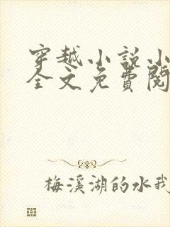 穿越小说小阁老全文免费阅读