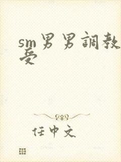 sm男男调教强受封面