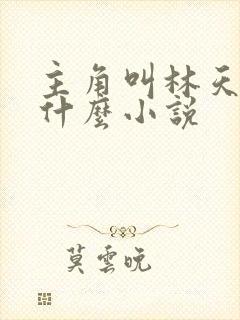 主角叫林天的叫什么小说