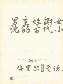 男主姓谢女主姓沈的古代小说