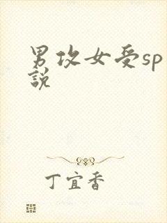 男攻女受sp小说封面