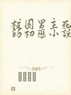 校园男主死对头的初恋小说无弹窗阅读