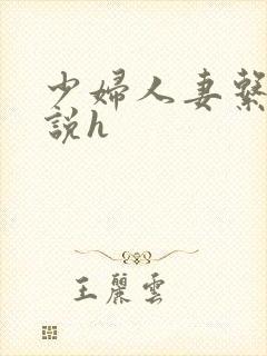 少妇人妻系列小说h