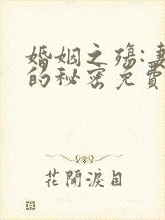 婚姻之殇:妻子的秘密免费阅读封面