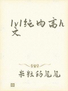 1v1纯肉高h文封面