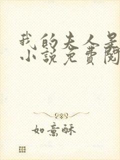 我的夫人是大佬小说免费阅读