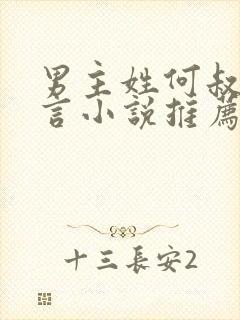 男主姓何叔嫂古言小说推荐封面