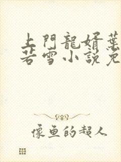 上门龙婿叶凡唐若雪小说免费