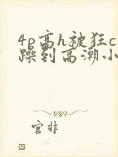 4p高h被狂c躁到高潮小说