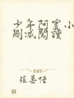 少年阿宾小说无删减阅读