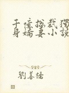 千亿总裁独宠替身娇妻小说版