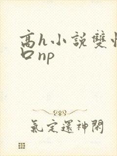 高h小说双性重口np封面