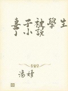 妻子被学生夺走了小说