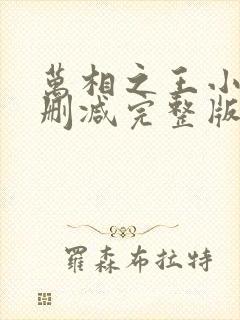 万相之王小说未删减完整版