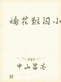 娇花难囚小说封面