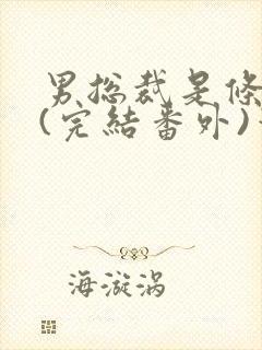 男总裁是条骚狗(完结番外)笔趣阁小说封面