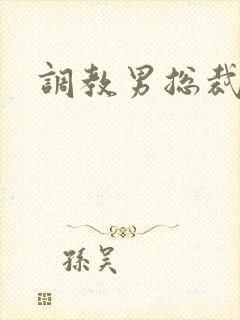 调教男总裁sm封面