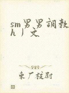 sm男男调教〈h丿文