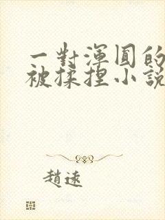 一对浑圆的胸乳被揉捏小说