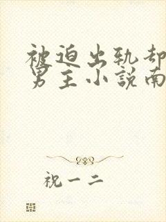 被迫出轨却上瘾男主小说南舒