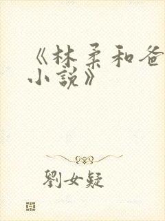 《林柔和爸爸的小说》