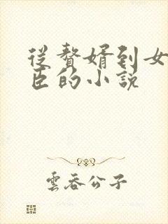 从赘婿到女帝宠臣的小说封面