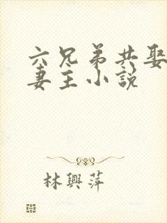 六兄弟共娶一个妻主小说