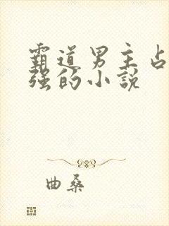 霸道男主占有欲强的小说