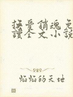 换爱销魂免费阅读全文小说最新章节