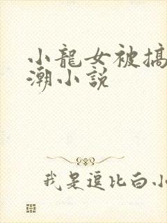 小龙女被搞上高潮小说