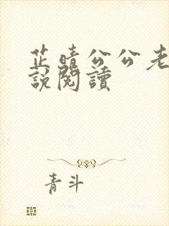 芷晴公公老王小说阅读