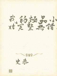 我的极品小姨txt完整无错版封面