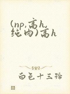 (np,高h,纯肉)高h