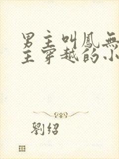 男主叫凤无殇女主穿越的小说