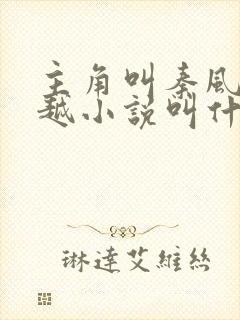 主角叫秦风的穿越小说叫什么