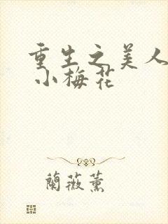重生之美人君事 小梅花