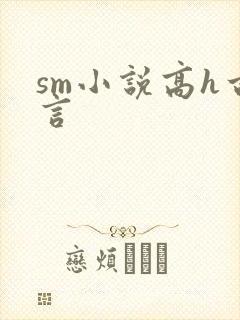 sm小说高h古言