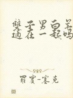 双子男白羊女合适在一起吗