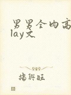 男男全肉高hplay文