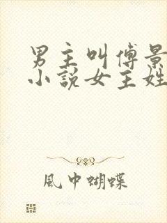 男主叫傅景琛的小说女主姓唐封面