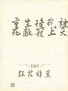 重生后我被渣男死敌宠上天》短剧