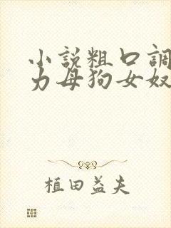 小说粗口调教暴力母狗女奴封面