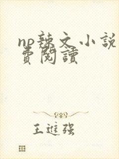 np辣文小说免费阅读封面