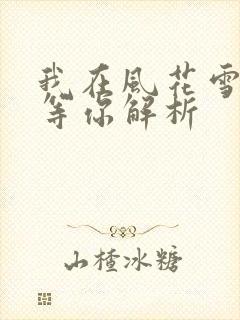 我在风花雪月里等你解析