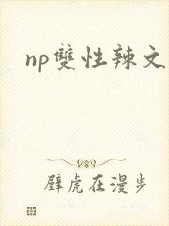 np双性辣文