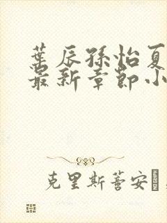 叶辰孙怡夏若雪最新章节小说心