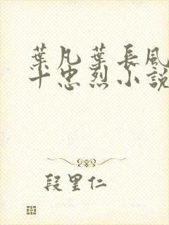 叶凡叶长风一门十忠烈小说书名封面