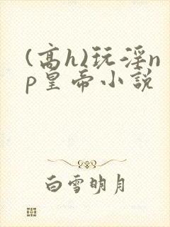 (高h)玩淫np皇帝小说封面