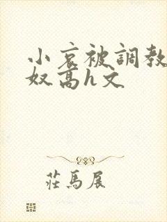 小哀被调教成肉奴高h文