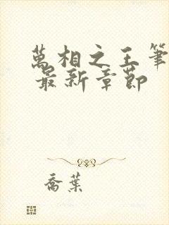 万相之王笔趣阁 最新章节